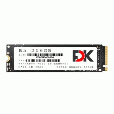 حافظه SSD اینترنال فدک مدل FDK B5 M.2 با ظرفیت 256 گیگابایت