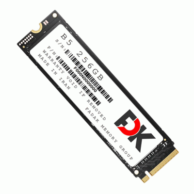 حافظه SSD اینترنال فدک مدل FDK B5 M.2 با ظرفیت 256 گیگابایت