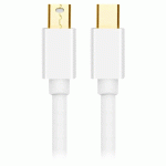کابل MINI DISPLAYPORT دو سر نر (دو طرفه) یوگرین مدل UGREEN MD111 10429 به طول 2 متر
