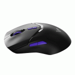 موس بی سیم گیمینگ رپو مدل RAPOO VT9 PRO 4K
