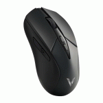 موس بی سیم گیمینگ رپو مدل RAPOO V300SE