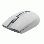 ماوس بی سیم سایلنت رپو مدل RAPOO M17